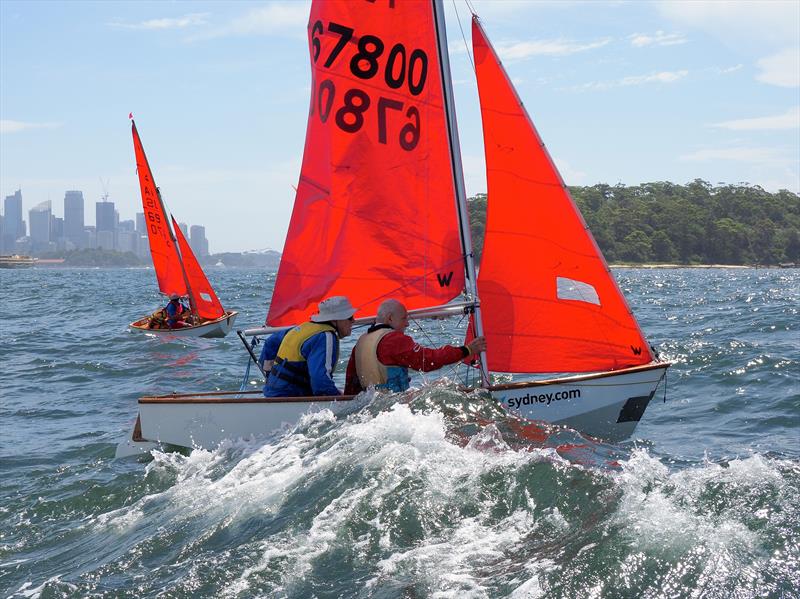 18th Mirror Worlds in Sydney photo copyright Robert Owe-Young taken at Woollahra Sailing Club and featuring the Mirror class