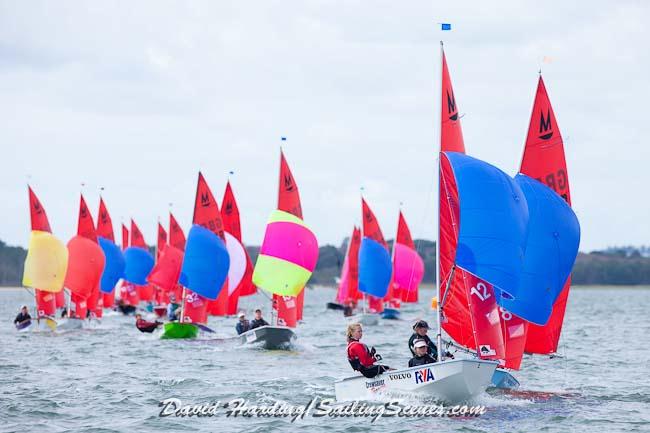 Navigators & General Mirror Europeans at Poole day 4 - photo © David Harding / www.sailingscenes.co.uk