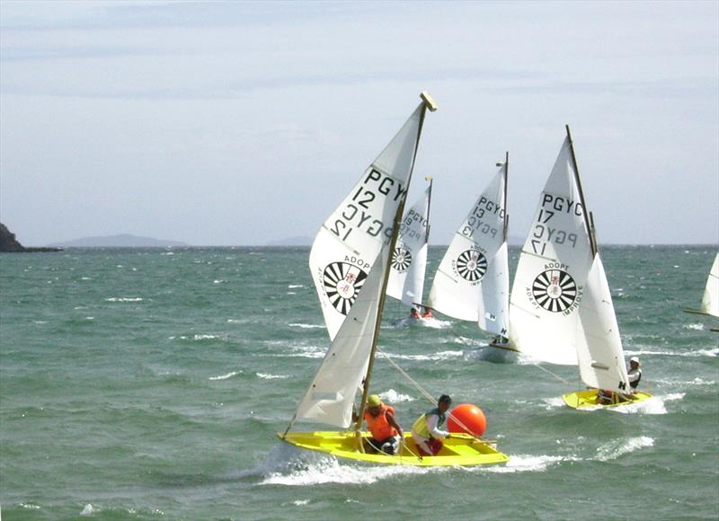 Royal Cargo All Souls Regatta - photo © Martyn Willes