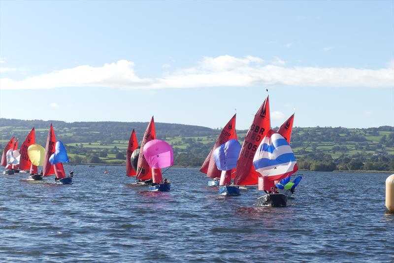 Mirror Inlands at Chew Valley Lake - photo © Nigel Carson