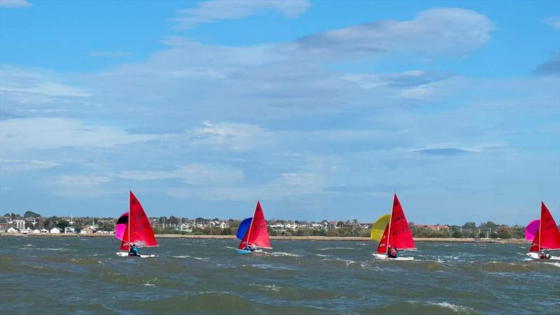 Mirror Eastern Championship at Brightlingsea photo copyright Stephen and Marie Cross taken at  and featuring the Mirror class