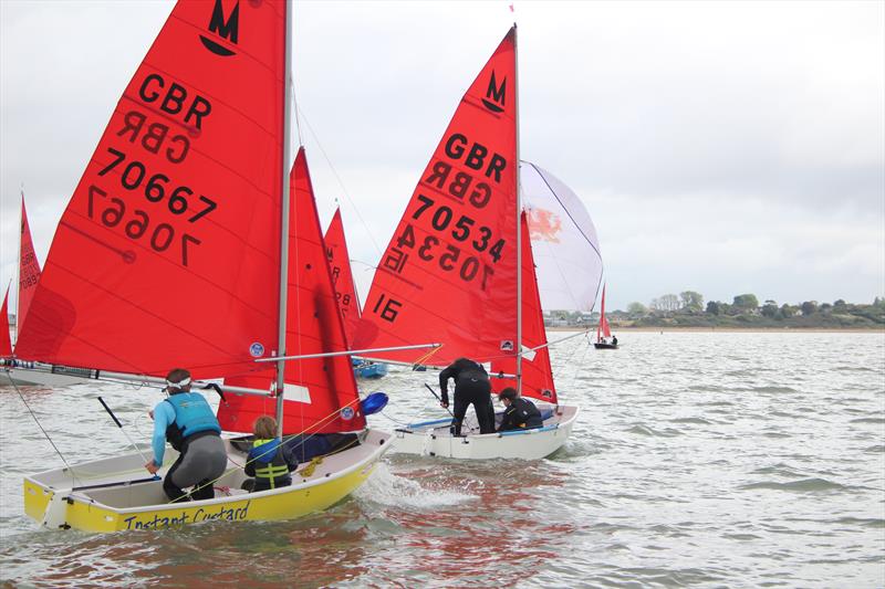 Mirror Eastern Championship at Brightlingsea - photo © Stephen and Marie Cross
