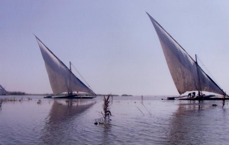 Fishing boats at Damietta photo copyright Liz Potter taken at 