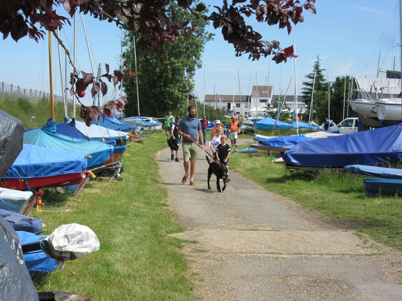 A steady stream of visitors on the Blackwater Sailing Club Open Day photo copyright David Carr taken at Blackwater Sailing Club