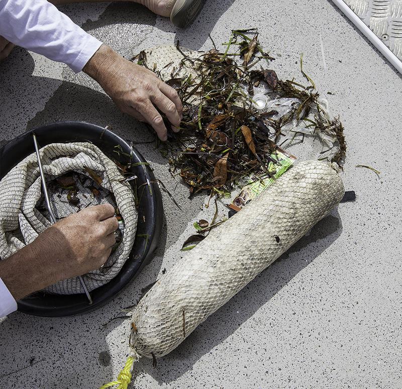 Investigating the 'catch' - leaves, wrappers, cable ties, cigarette butts and polystyrene balls photo copyright John Curnow taken at Royal Queensland Yacht Squadron