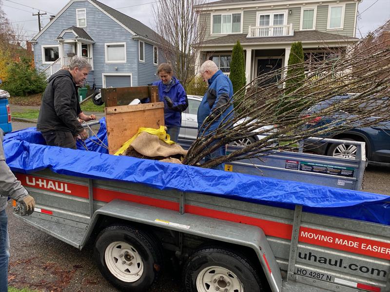 Preparing the tree for its improbably journey to Bellingham. - photo © David Schmidt