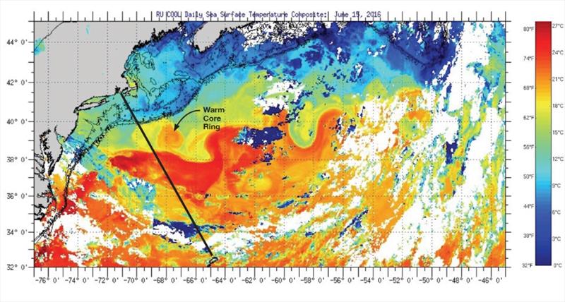 Figure 2: JUNE 15, 2016—Composite satellite image—Warm-core ring is evident; cold-core ring is obscured by cloud cover just before the race started. - photo © W. Frank Bohlen