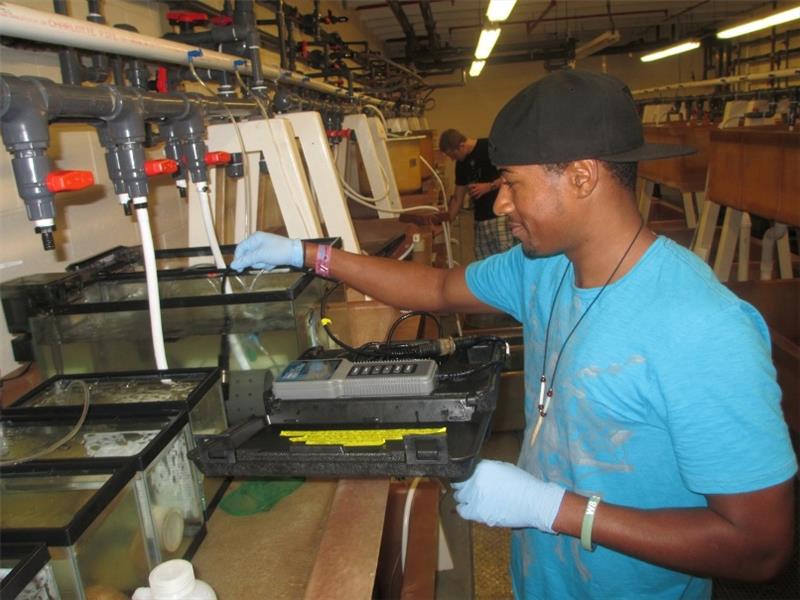 2012 PEP student William Melvin working on research project photo copyright NOAA Fisheries taken at 