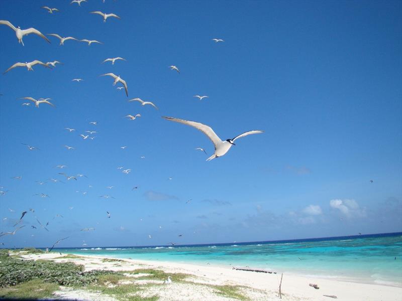 Entrecasteaux atoll - photo © DAM