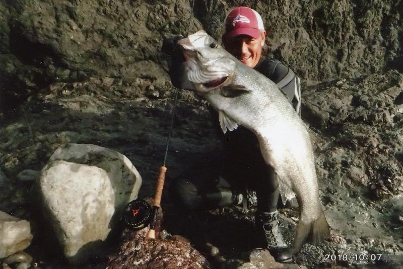 Japanese angler Takeshi Ihara potentially set the new men's 10kg tippet class world record for blackfin seabss (Lateolabrax latus) with this impressive 6.10-kg fish that he caught while fly fishing from the shoreline of Tokushima, Japan on October 7, 2018 photo copyright IGFA taken at 