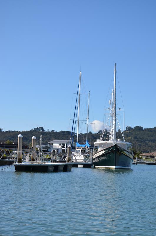 Whitianga Waterways by Hopper Developments photo copyright Hopper Developments taken at 