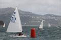 Tauranga Cup - Evans Bay Yacht and Motor Boat Club - January 2019 © Richard Beauchamp