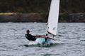 Tauranga Cup - Evans Bay Yacht and Motor Boat Club - January 2019 © Richard Beauchamp