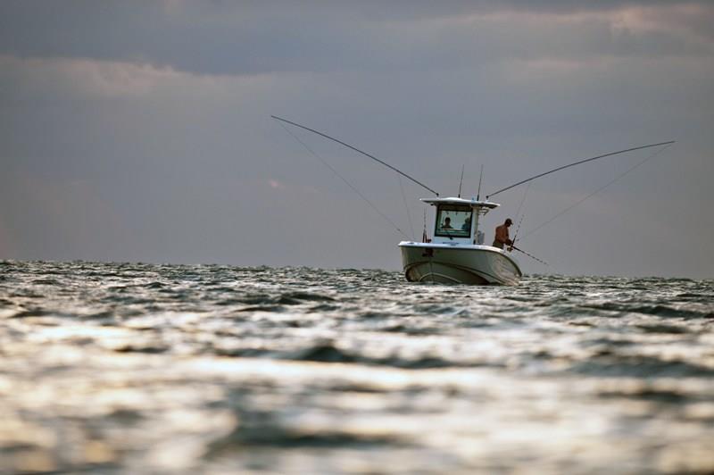 Recreational anglers stand to gain with President Trump's signing of the Modern Fish Act photo copyright Scott Croft taken at 