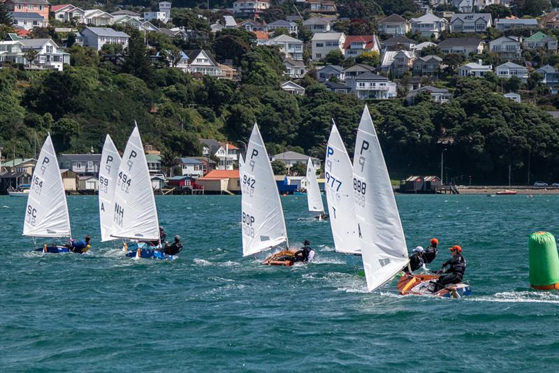 P Class: Day 1 2018 Tanner Cup - Evans Bay Yacht & Motor Boat Club - January 3, 2019 - photo © Deb Williams