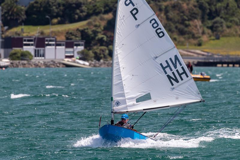 Mason Mulcahy - Day 1 - 2019 Tanner Cup - Evans Bay Yacht & Motor Boat Club photo copyright Deb Williams taken at Evans Bay Yacht & Motor Boat Club