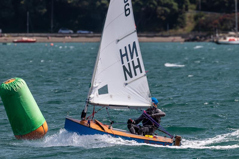 Mason Mulcahy - Day 1 - 2019 Tanner Cup - Evans Bay Yacht & Motor Boat Club - photo © Deb Williams