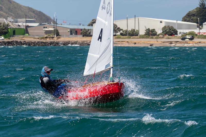 Blake Hinsley wins the Tanner Cup for 2019 at Evans Bay Y& MBC photo copyright Deb Williams taken at Evans Bay Yacht & Motor Boat Club