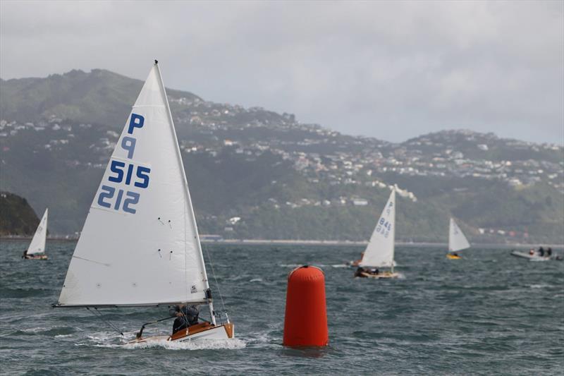 Tauranga Cup - Evans Bay Yacht and Motor Boat Club - January 2019 photo copyright Richard Beauchamp taken at Evans Bay Yacht & Motor Boat Club