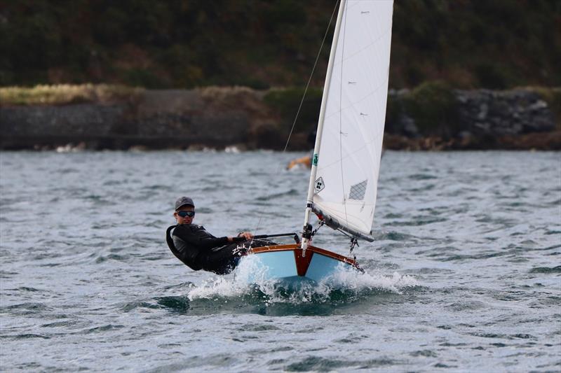 Tauranga Cup - Evans Bay Yacht and Motor Boat Club - January 2019 - photo © Richard Beauchamp