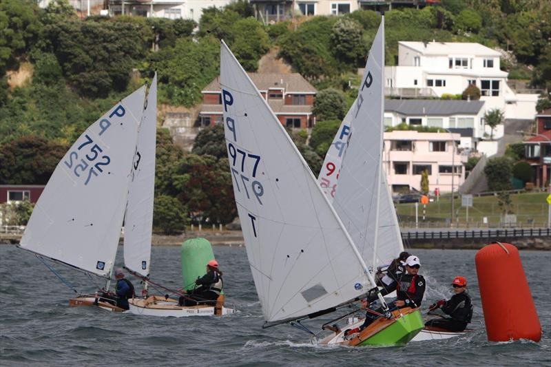 Tauranga Cup - Evans Bay Yacht and Motor Boat Club - January 2019 photo copyright Richard Beauchamp taken at Evans Bay Yacht & Motor Boat Club