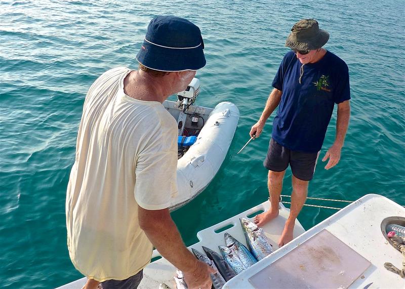 SV Silver Fern - Swim platform and fish cutting table photo copyright Martha Mason taken at 