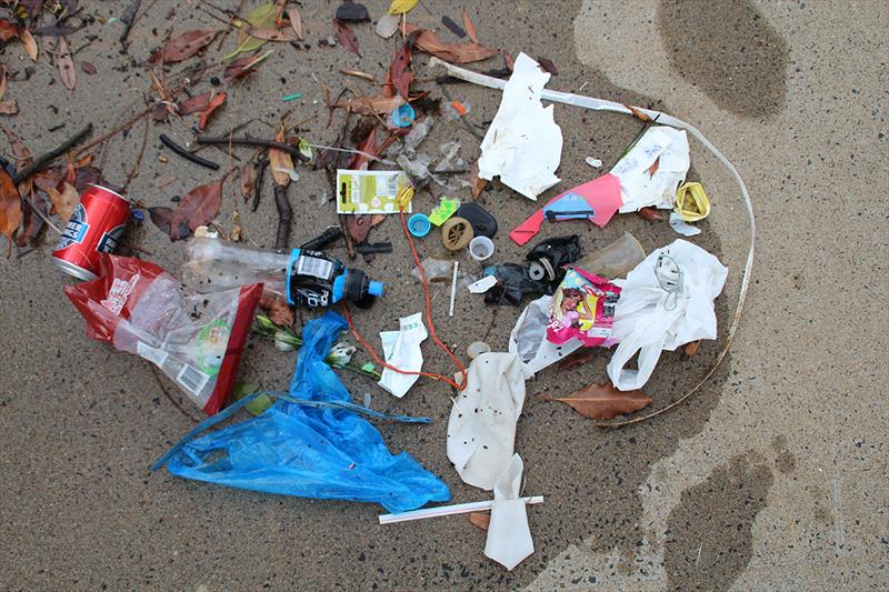 Rubbish collected in the first 20 minutes - photo © Edward Shute
