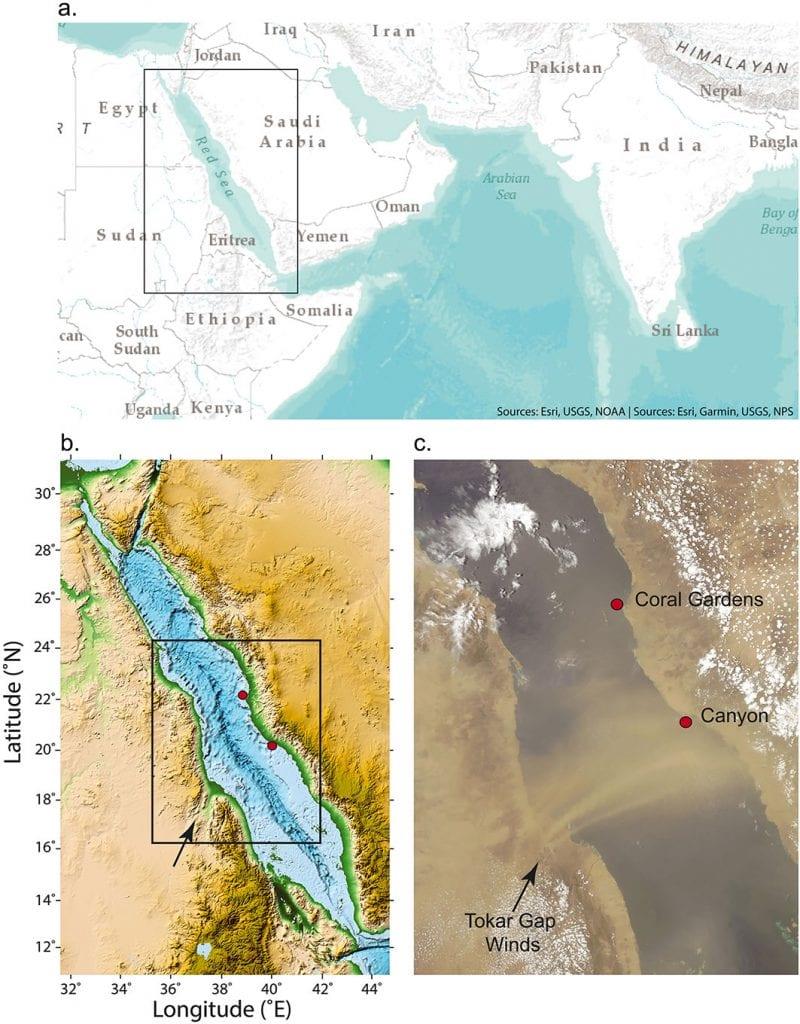 Geographic setting of the study site in Red Sea (a & b) and NASA MODIS satellite image from July 26, 2012, showing dust blown from the Sahara through the Tokar Gap by winds associated with the South Asian Monsoon in relation to the study's two field sites photo copyright Bryan, et al taken at 