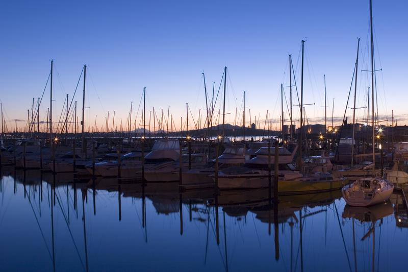 Westhaven Marina, Auckland, New Zealand - photo © Marinepests.nz