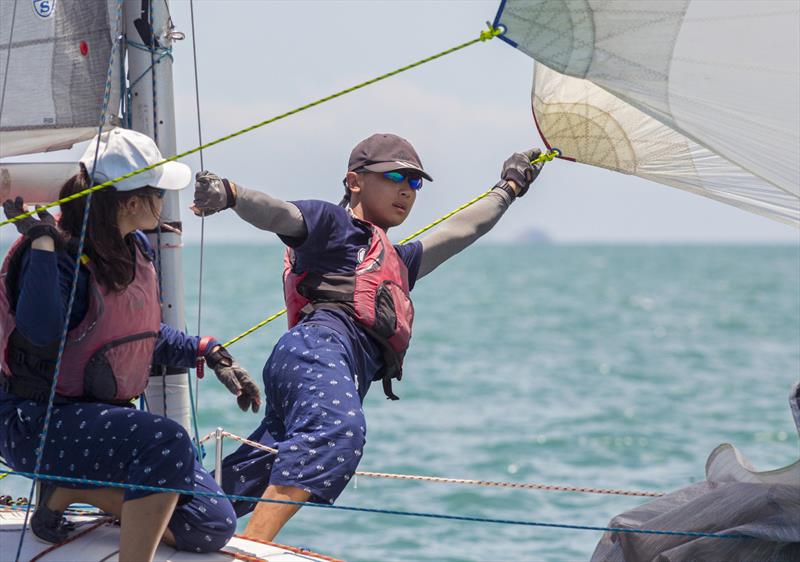 Top of the Gulf Regatta 2019. SMU (Platu) photo copyright Guy Nowell / Top of the Gulf Regatta taken at Ocean Marina Yacht Club