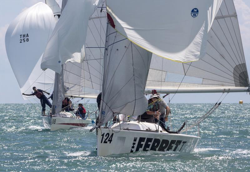 Top of the Gulf Regatta 2019. The Ferret. - photo © Guy Nowell / Top of the Gulf Regatta