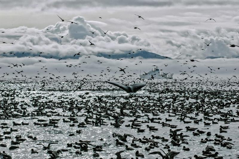 Alaska's Aleutian Islands photo copyright NOAA Fisheries taken at 