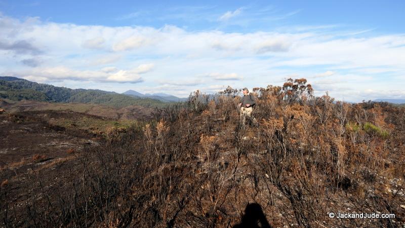 Fire on Mount Sorell photo copyright Jack and Jude taken at 