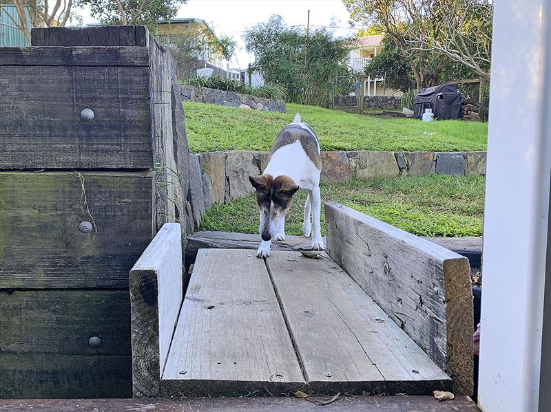 Mr Tacking as he takes on his little bridge. His angles across this, down the corridor and along the road are just brilliant. What a sailor! photo copyright John Curnow taken at 