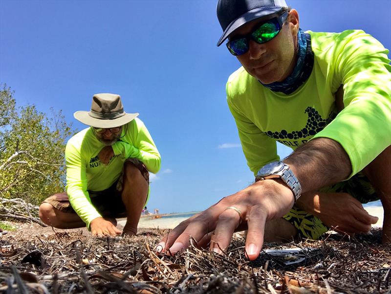 Nurdle patrol volunteers sorting through marine debris by hand photo copyright University of Texas Marine Science Institute taken at 