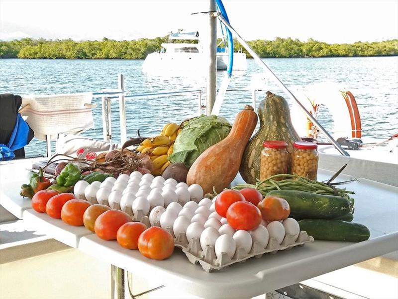 Fruit and vegetables from the trip to Sancto Spiritus - photo © Mission Ocean