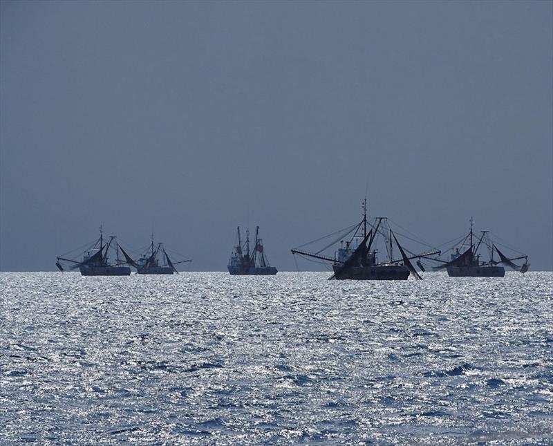 Shrimping boats in the Jardin de la Reina - photo © Mission Ocean