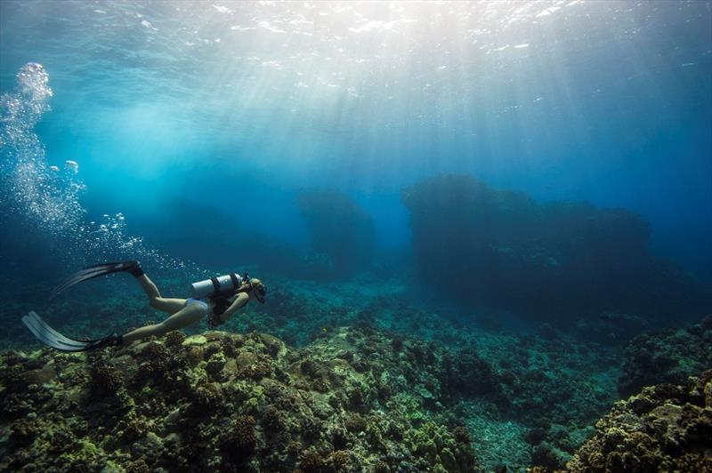 A woman scuba dives atop a coral reef in the tropical waters of Kona, Hawaii photo copyright Christine Shepard taken at 