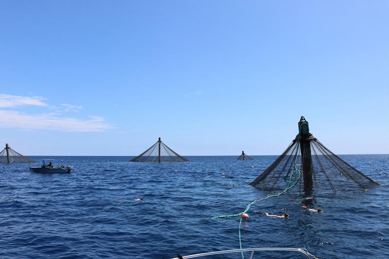 Blue Ocean Mariculture net pens photo copyright NOAA Fisheries/Cynthia Sandoval taken at 