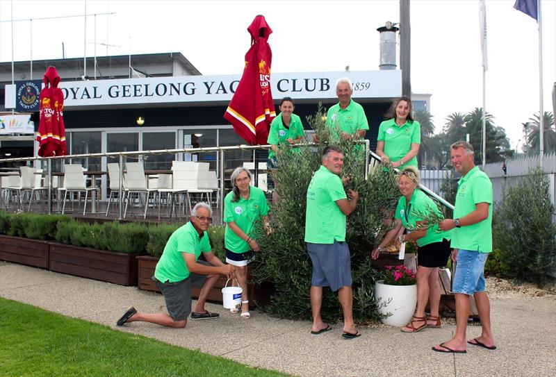 MacGlide Festival of Sails' Green Team photo copyright Sarah Pettiford taken at Royal Geelong Yacht Club