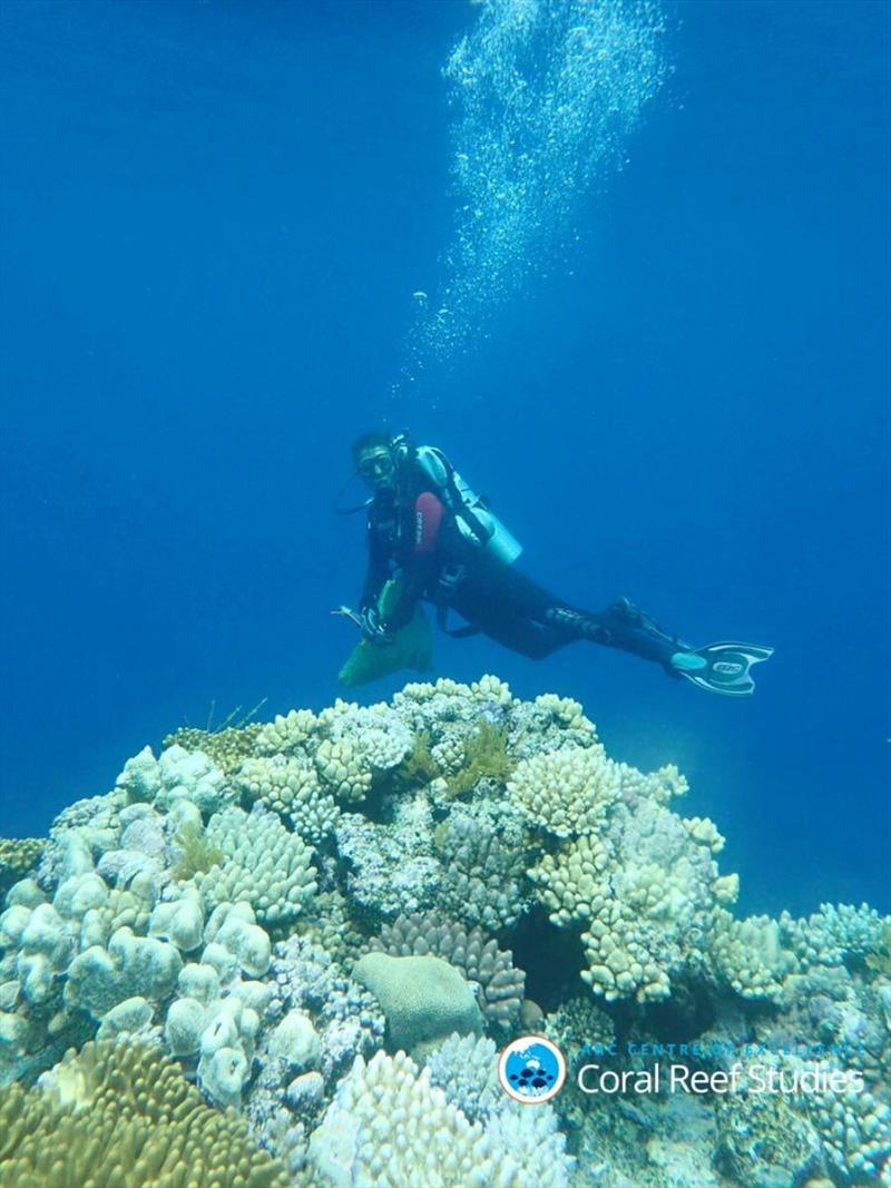 Uncovering new corals on the GBR photo copyright Andrew Baird taken at 