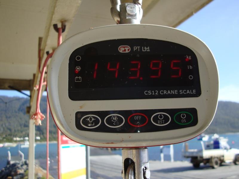 144 Kgs blue tuna - photo © Carl Hyland