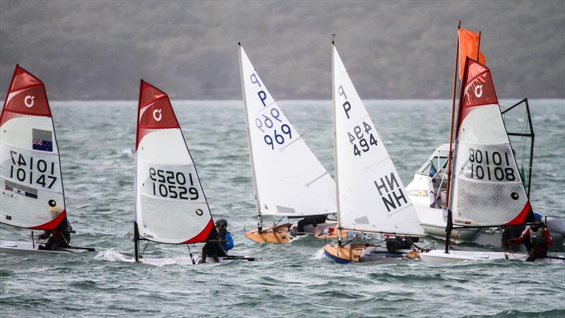 Winter Series - Wakatere Boating Club - Narrow Neck - June 7, 2020 photo copyright Richard Gladwell / Sail-World.com taken at Wakatere Boating Club