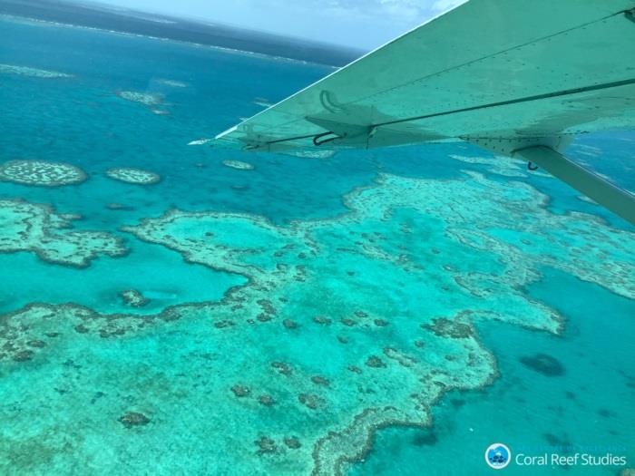 The Great Barrier Reef is just one highly threatened ecosystem that successive Australian governments continue to shield from an in Danger listing photo copyright Coral Reef Studies taken at 