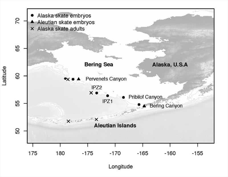 Collection sites for skate embryo and adult DNA samples. - photo © NOAA Fisheries