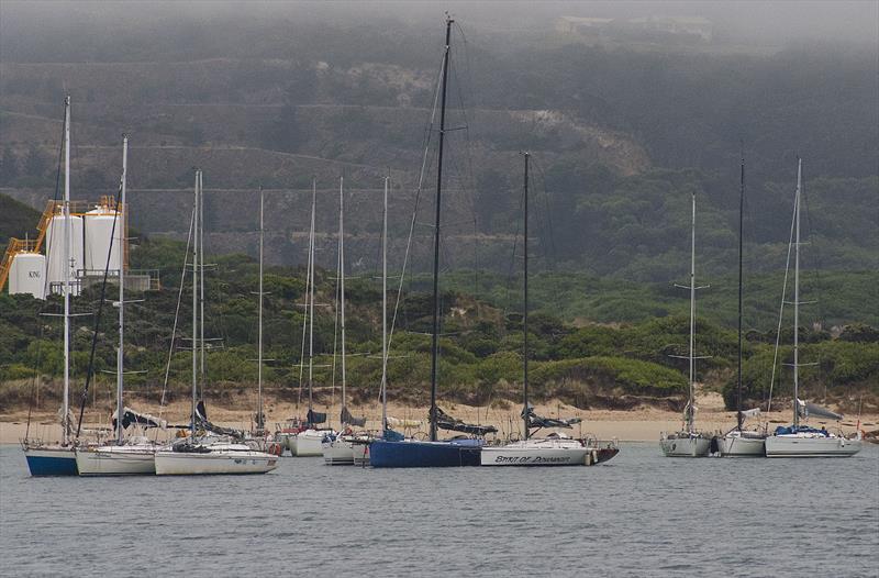 Raft up in Grassy Harbour (King Island) is not going to happen in 2020. - photo © John Curnow