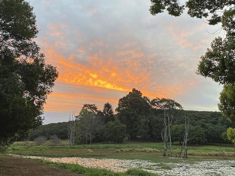 Situational awareness. Make sure you're looking, so you don't miss it photo copyright John Curnow taken at 