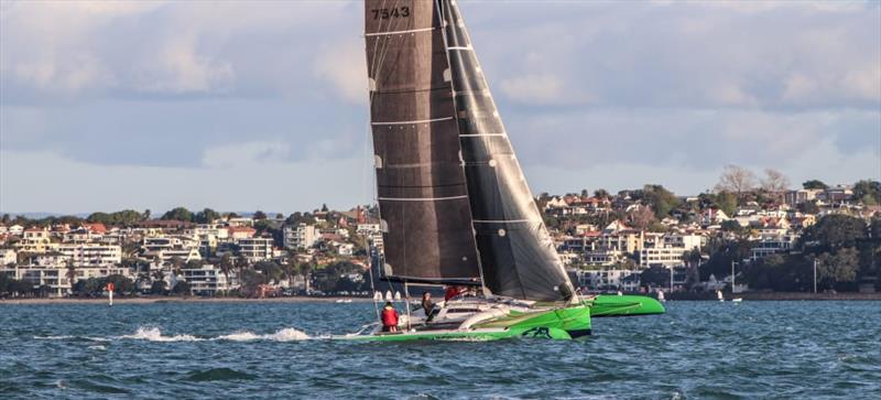 Timberwolf back racing on the Waitemata. - photo © Andrew Delves