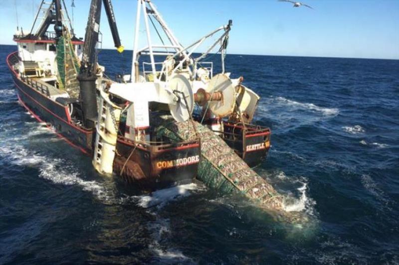 The F/V Commodore fishing for pollock in the Eastern Bering Sea