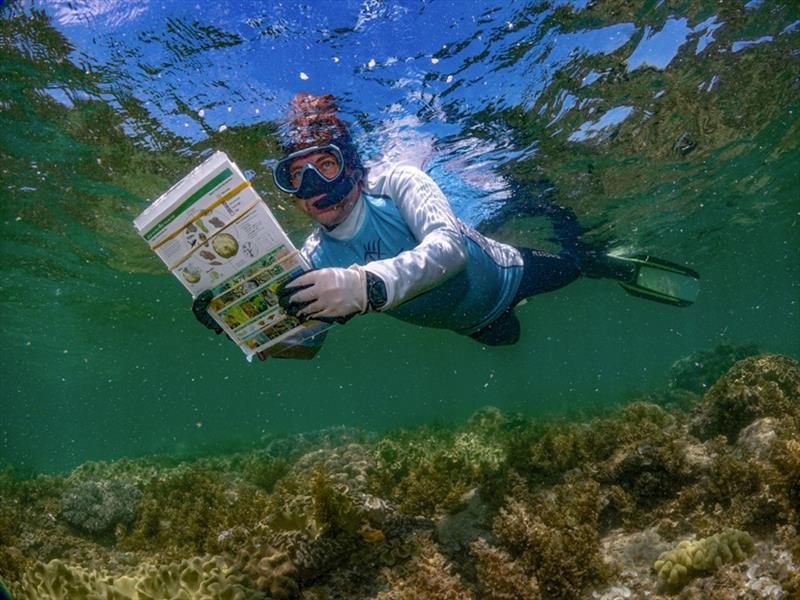Monitoring reef - photo © Commonwealth Australia / GBRMPA